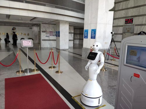 達闥科技云端智能機器人入駐青島市北政府，開啟智慧政務新篇章